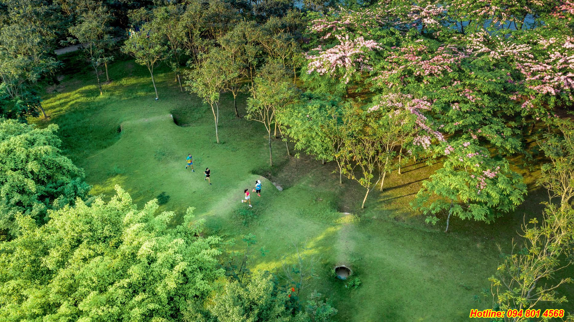 Chung cư Sky Oasis Ecopark có gì đặc biệt?